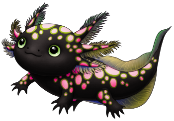 Cagnium Axolotl | Xanje