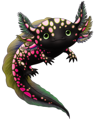 Cagnium Axolotl | Xanje
