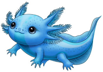 Blue Dragon Axolotl | Xanje