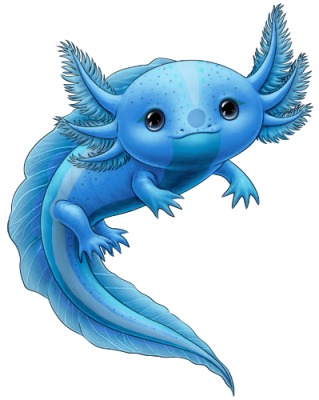 Blue Dragon Axolotl | Xanje