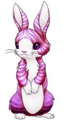 Spectrum Striped Rabbit | Xanje