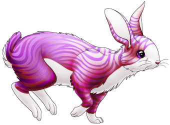 Spectrum Striped Rabbit | Xanje