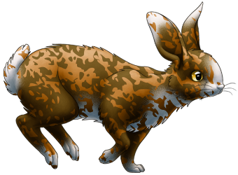Leopard Splashed Rabbit [Designer Pet] | Xanje