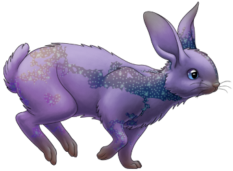 Piebald Galaxy Rabbit | Xanje