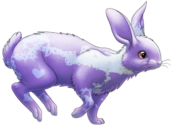 Aurora Piebald Galaxy Rabbit | Xanje