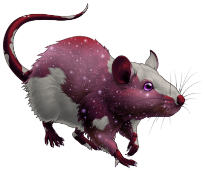 Ruby Piebald Galaxy Rat | Xanje
