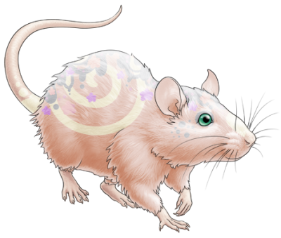 Vanilla Sweet Brownie Rat | Xanje