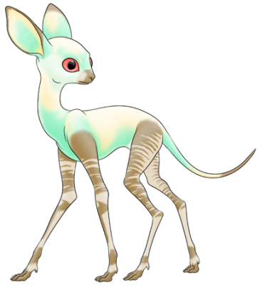 Rainbow Okapi Ruka | Xanje