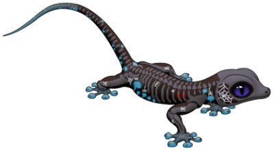 Skeletal Scalamander | Xanje