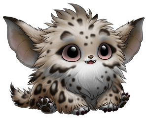 Calico Spotted Shagarra | Xanje