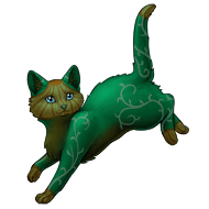Pumpkin Shorthaired Cat | Xanje