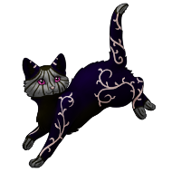 Blighted Pumpkin Shorthaired Cat | Xanje
