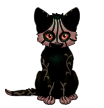 Blighted Jack-o'-lantern Pumpkin Shorthaired Cat | Xanje