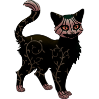 Blighted Jack-o'-lantern Pumpkin Shorthaired Cat | Xanje