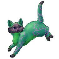 Colourful Pumpkin Shorthaired Cat | Xanje