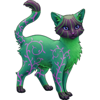 Colourful Pumpkin Shorthaired Cat | Xanje