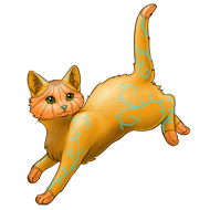 Autumn Pumpkin Shorthaired Cat | Xanje
