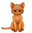 Autumn Jack-o'-lantern Pumpkin Shorthaired Cat | Xanje