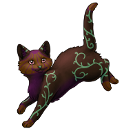 Jack-o'-lantern Pumpkin Shorthaired Cat | Xanje