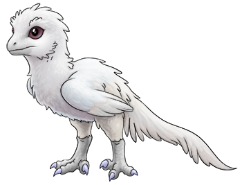 Albino Royal Velo | Xanje