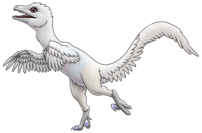 Albino Royal Velo | Xanje
