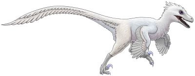 Albino Royal Velo | Xanje