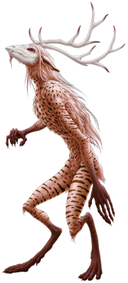 Common Werro | Xanje